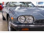 Thumbnail Photo 46 for 1986 Jaguar XJS